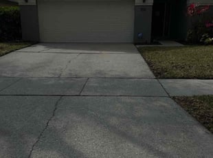 Leaf Removal by Olga Diaz for Barbara W. in Orlando, FL