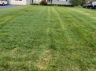 Aiesha S.'s Lawn Mowing service result