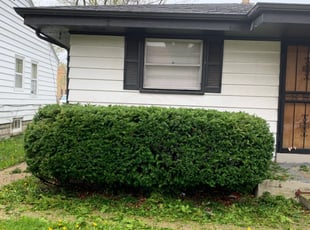 Bush Trimming by Michael Williams for Jenasha J. in Milwaukee, WI