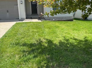 Emily C.'s Lawn Care service result