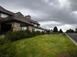 Jessica W.'s Yard Cutting service result