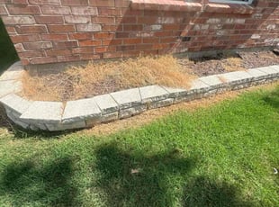 Weeding by Quentin Morgan for Natalie G. in Denton, TX