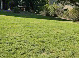 James K.'s Yard Cutting service result