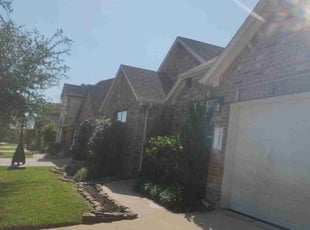 Bush Trimming by James Parga for Brandon R. in Conroe, TX