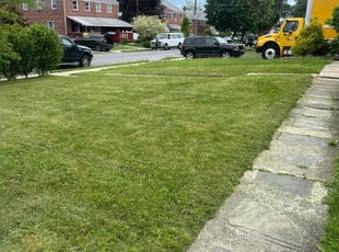 Cassandra S.'s Lawn Maintenance service result