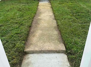 Roxy P.'s Lawn Mowing Service service result