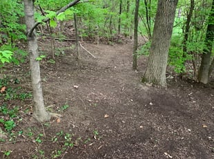 Cleanups by Rashaan Boyd for Diane T. in Cincinnati, OH