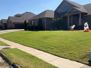 Lorraine D.'s Lawn Maintenance service result