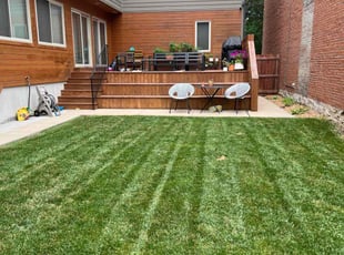Rastin A.'s Yard Cutting service result
