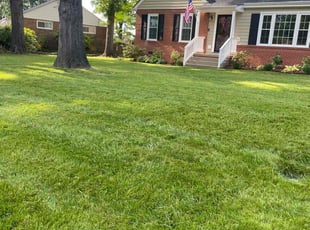 Sarah C.'s Lawn Care service result