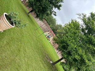Steve A.'s Lawn Service service result