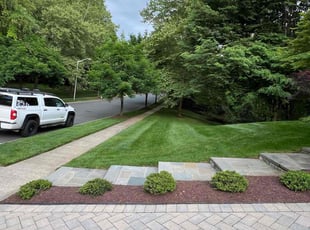 Lauren H.'s Lawn Care service result