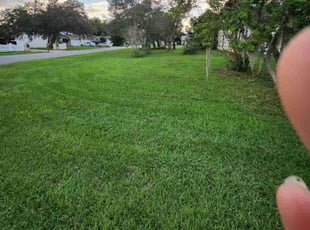 Michelle C.'s Yard Cutting service result