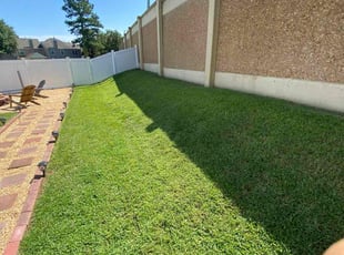 Alita T.'s Lawn Mowing service result