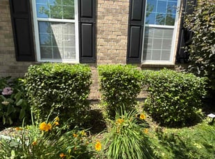 Bush Trimming by Max Gonzalez for Linfang Y. in Westfield, IN