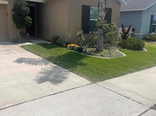 Andrea H.'s Lawn Maintenance service result