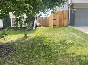 Chris M.'s Yard Cutting service result