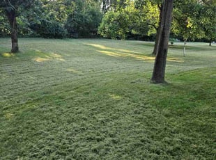 Chris s.'s Lawn Care service result