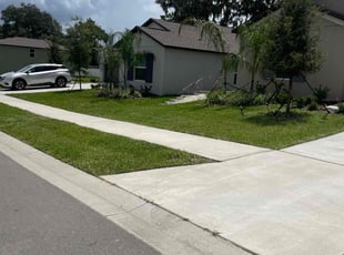 Luis M.'s Lawn Service service result
