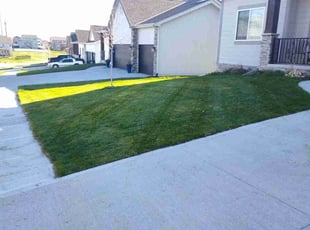 Michael J.'s Lawn Mowing service result
