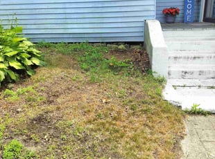 Bush Trimming by Zachary Lamson for Lisa O. in Woonsocket, RI