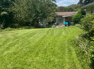 Yvonne C.'s Lawn Mowing service result