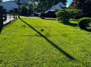 Cheryl E.'s Lawn Mowing service result