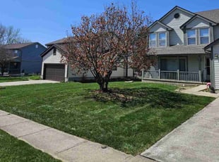 Tamela L.'s Lawn Service service result