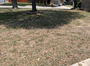 Weeding by Andrew Garza for Debbie M. in San Antonio, TX