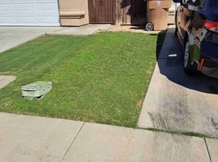 Jamillah O.'s Grass Cutting service result