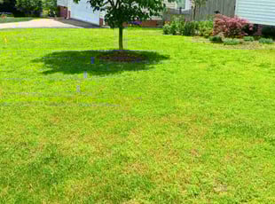 Christine A.'s Lawn Service service result