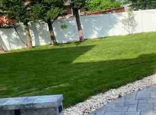 Donald G.'s Lawn Mowing service result