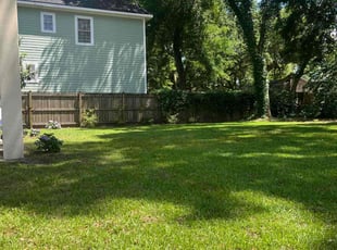 Tanya B.'s Lawn Maintenance service result