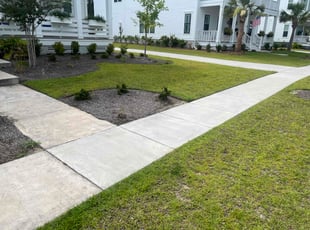 Roger D.'s Bush Trimming service result