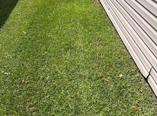 Tim H.'s Lawn Service service result