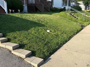 Matt H.'s Lawn Mowing Service service result