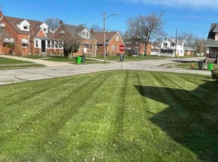 Jasmine W.'s Lawn Care service result
