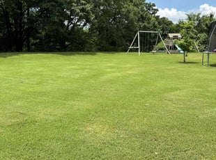 Cindy L.'s Lawn Maintenance service result