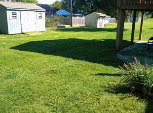 Jennifer N.'s Lawn Mowing Service service result