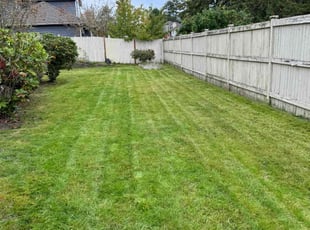 Joe M.'s Lawn Mowing service result
