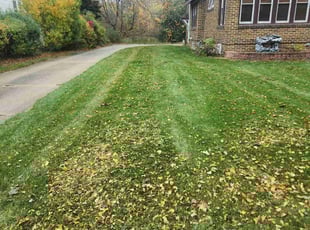 Zak R.'s Lawn Mowing service result
