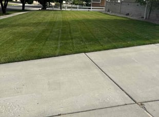 Michael W.'s Lawn Mowing service result