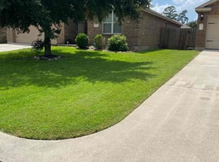 Nilisha W.'s Lawn Care service result