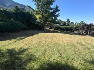 Robin A.'s Lawn Mowing service result