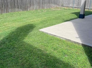 Molly K.'s Yard Cutting service result