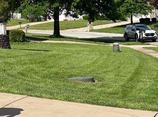 Bobbi D.'s Lawn Mowing Service service result