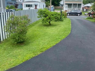 Catherine M.'s Lawn Service service result