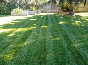 Shari R.'s Lawn Mowing Service service result