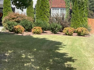 Rick M.'s Lawn Mowing service result