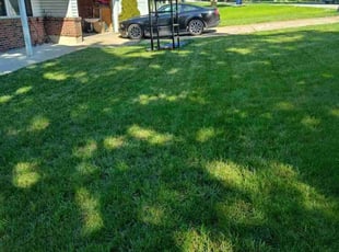 Shalonda C.'s Lawn Maintenance service result